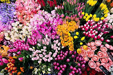 无厘头弹幕FPS《太空熊》公布 明年登陆PC